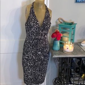 Sexy Cache Leopard Halter Dress NWT Size 6